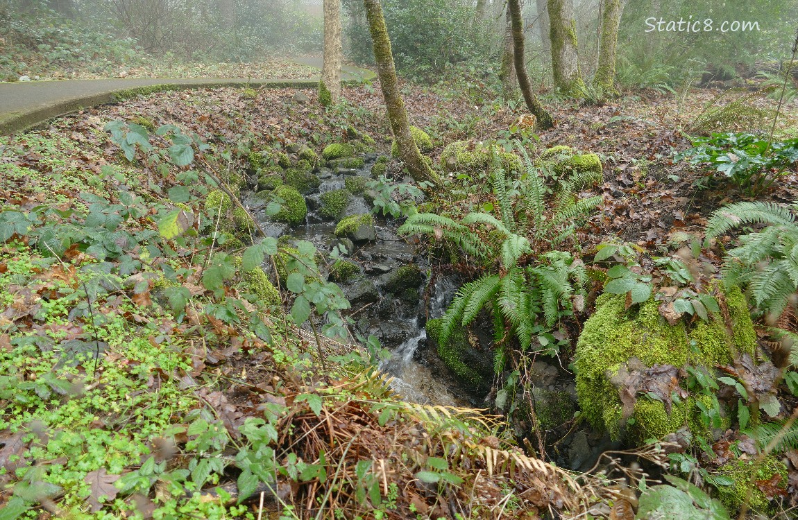 Small waterfall next to a concrete path