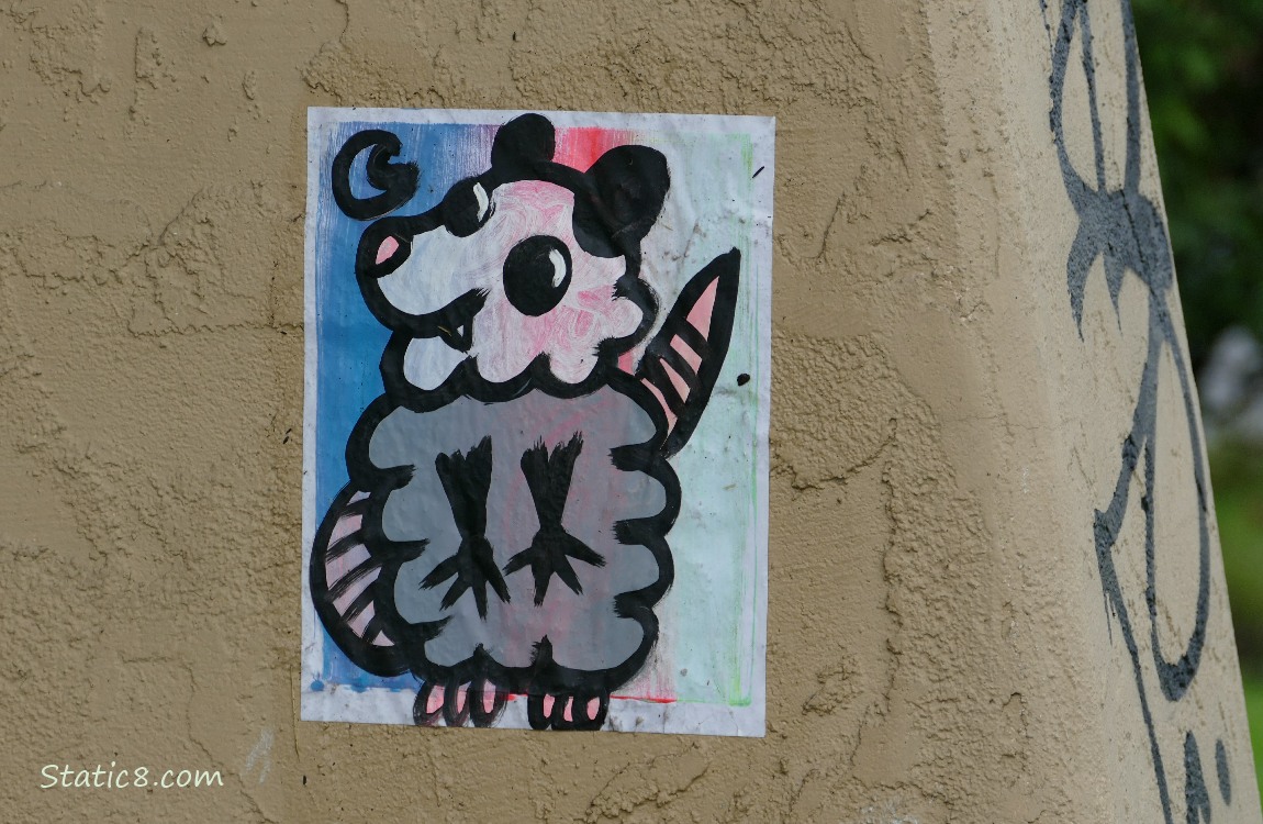Opossum graffiti on a wall