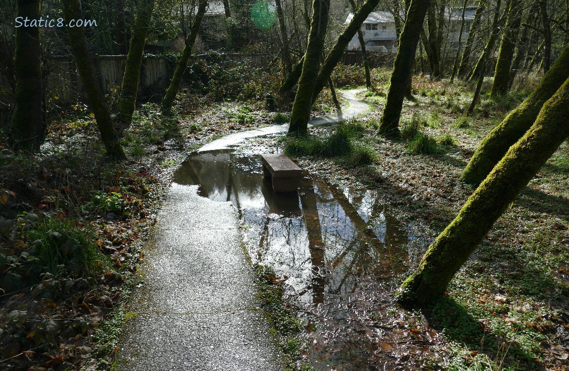 Bench next to the path, in a big puddle