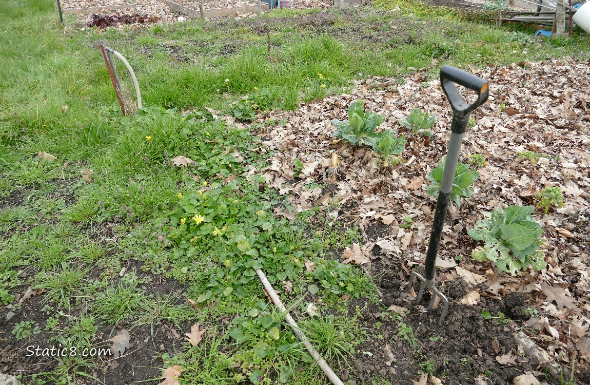 Garden plot