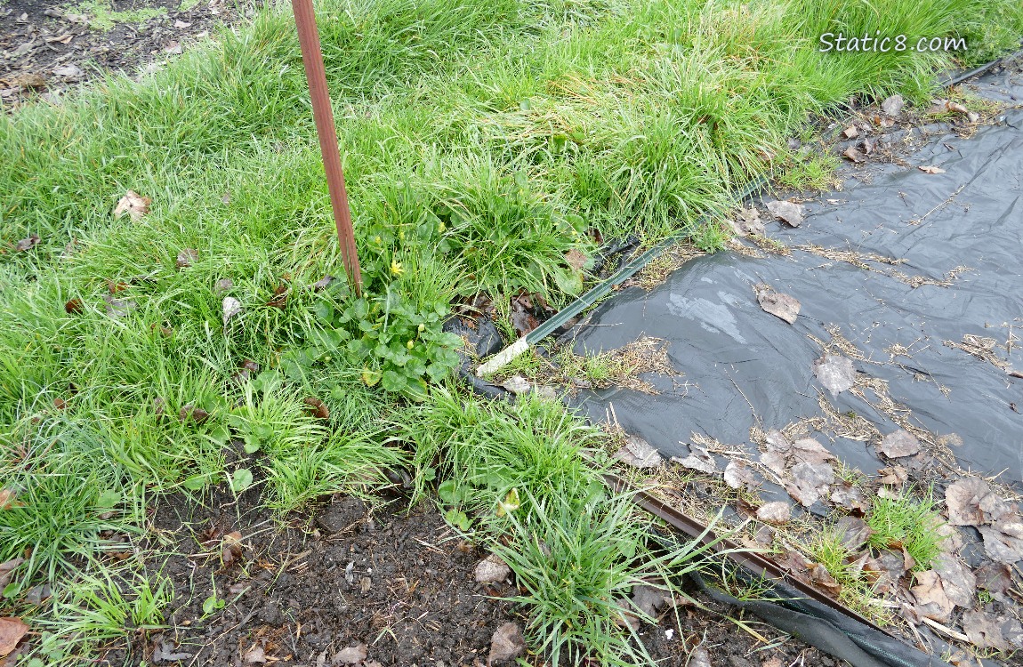Garden plot