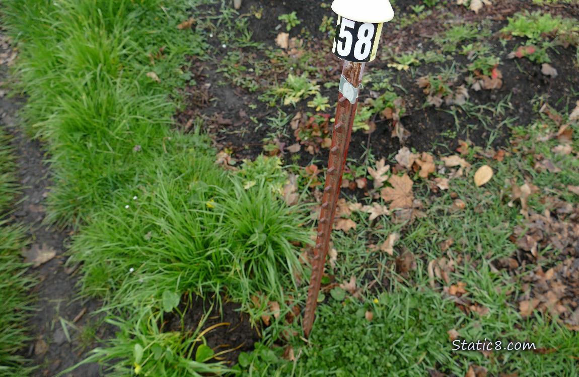Plot 58