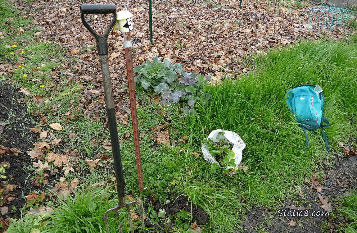 garden plot