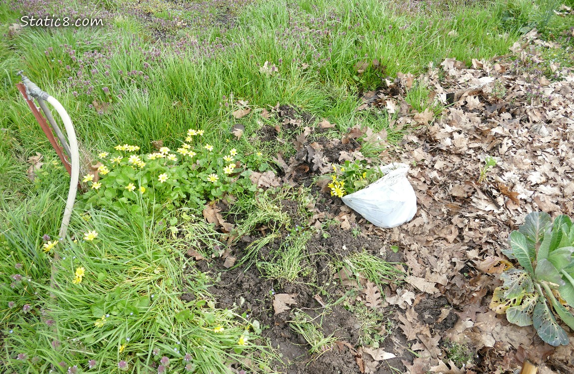 Garden plot