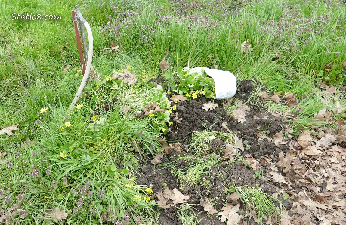 Garden plot