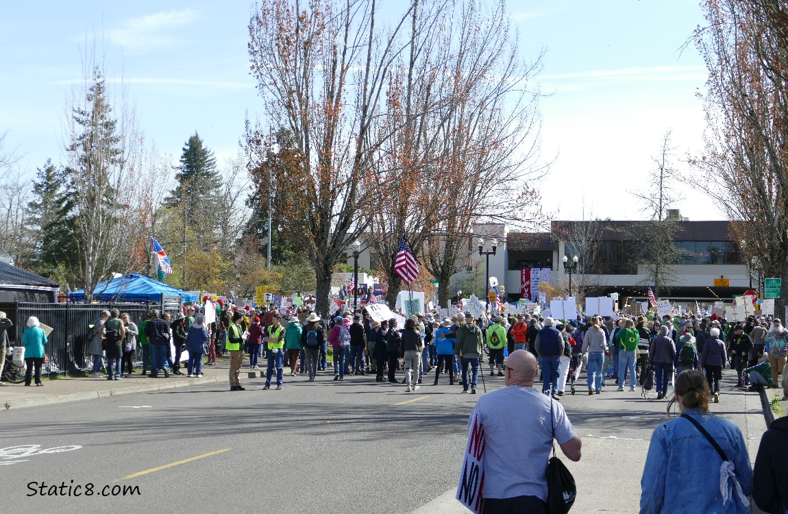 People walking down a road for a protest