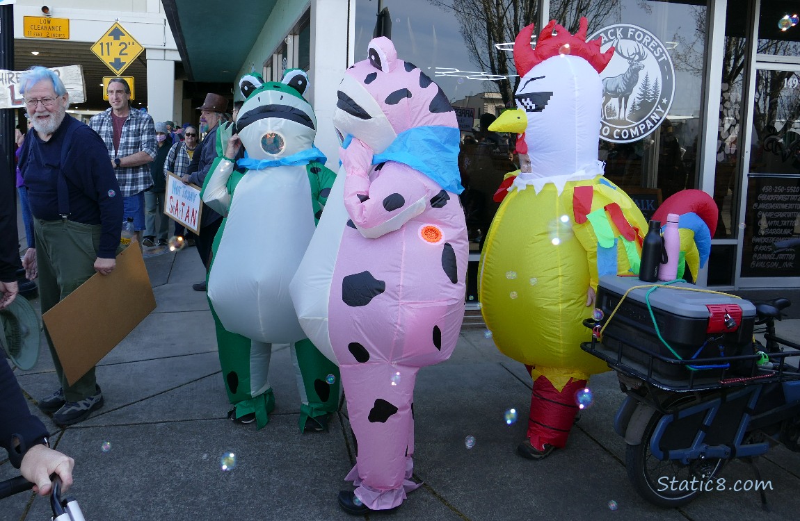 Inflatable frogs and chicken