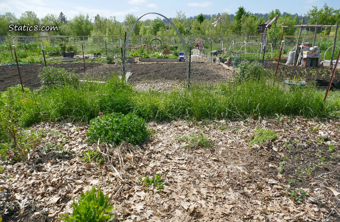 Garden plot