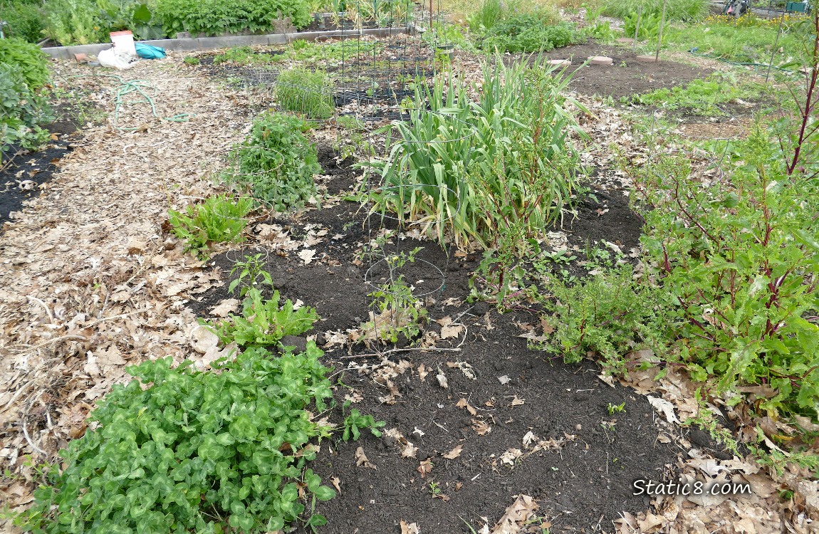 Garden plot