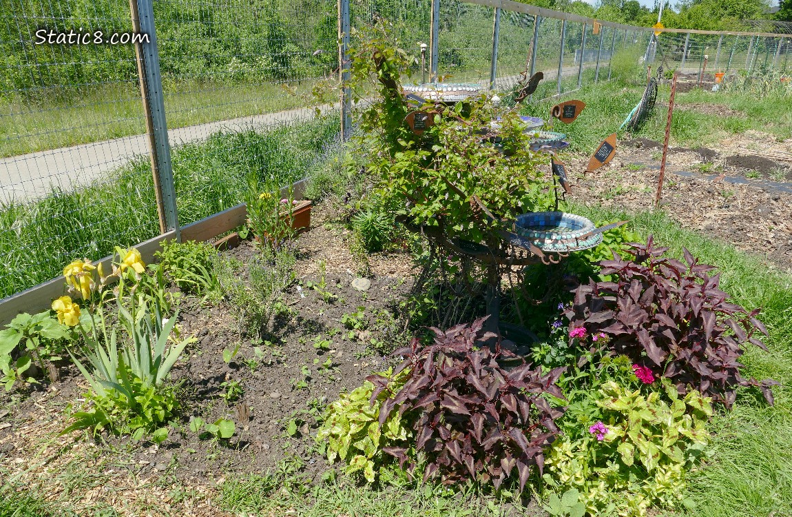 Flower bed