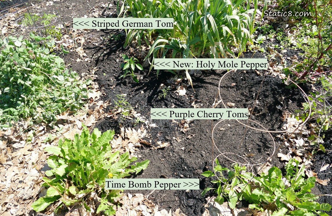 Garden plot