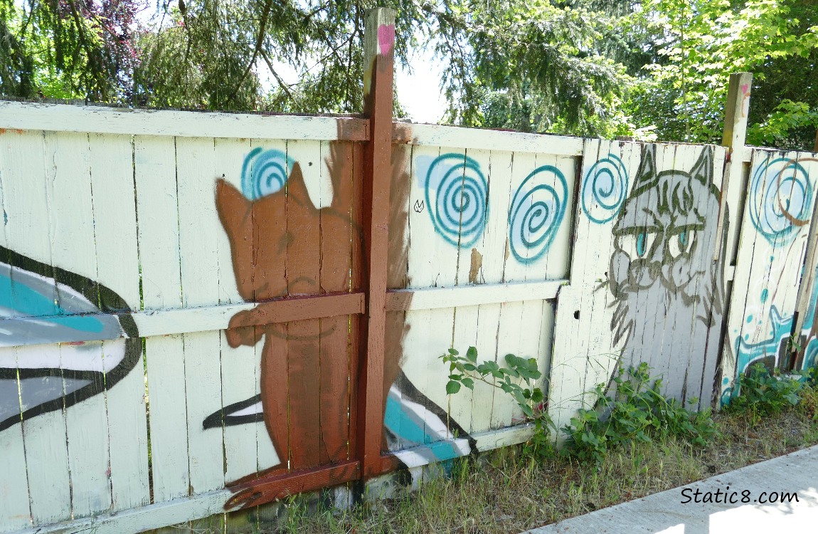 Squirrel and cat graffiti on a wood fence