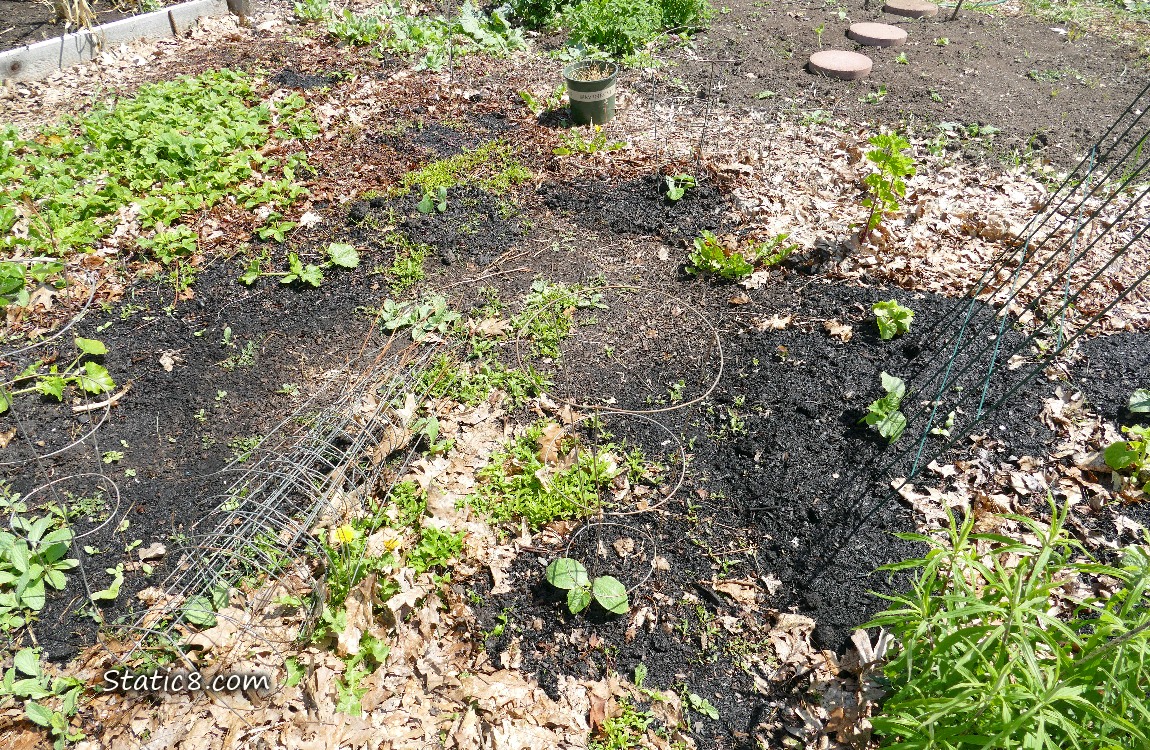 Garden plot