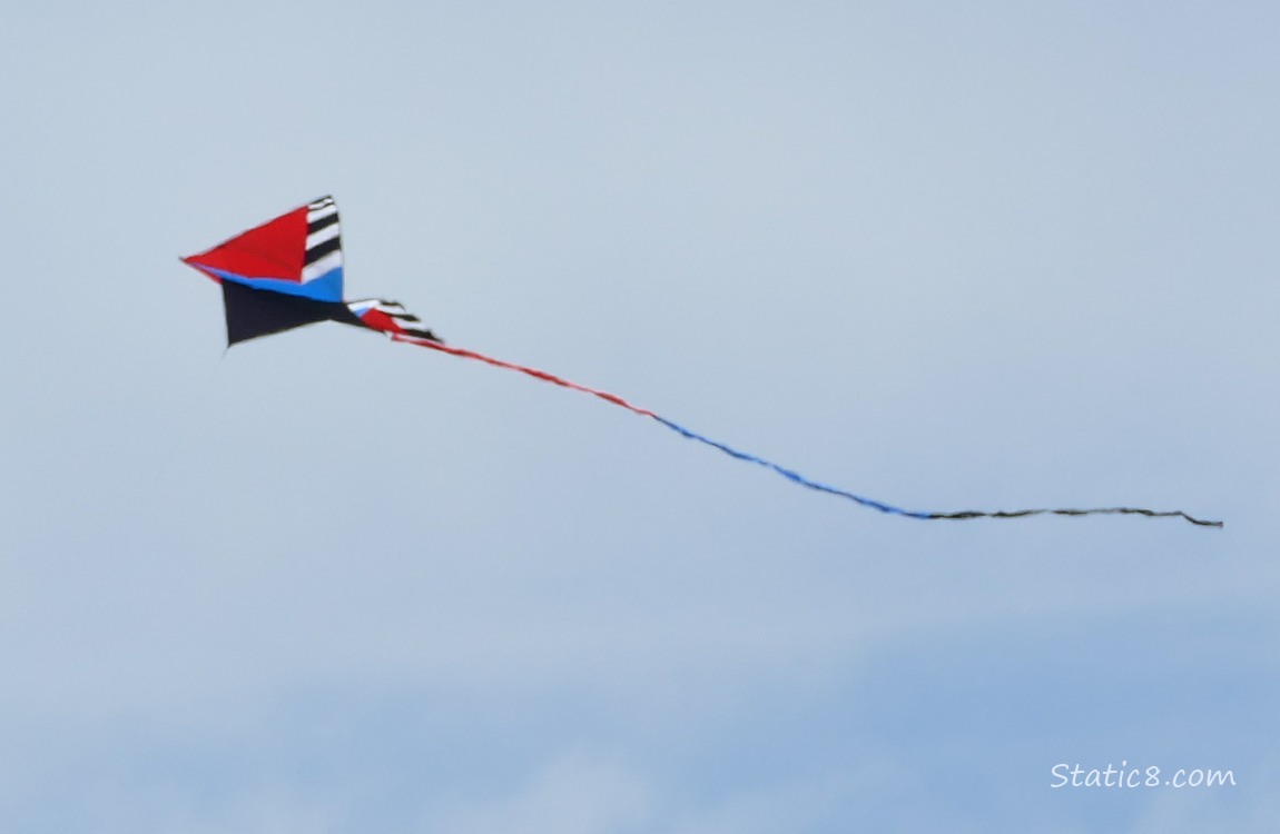 Kite with a long tail floating in the wind, grey sky behind