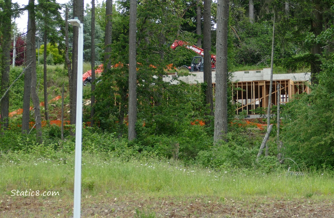 Construction past the trees