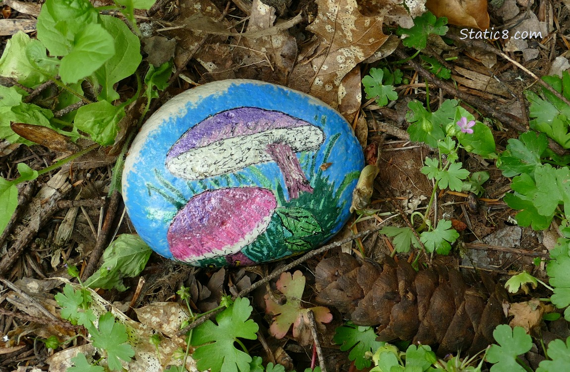 Painted rock on the forest floor