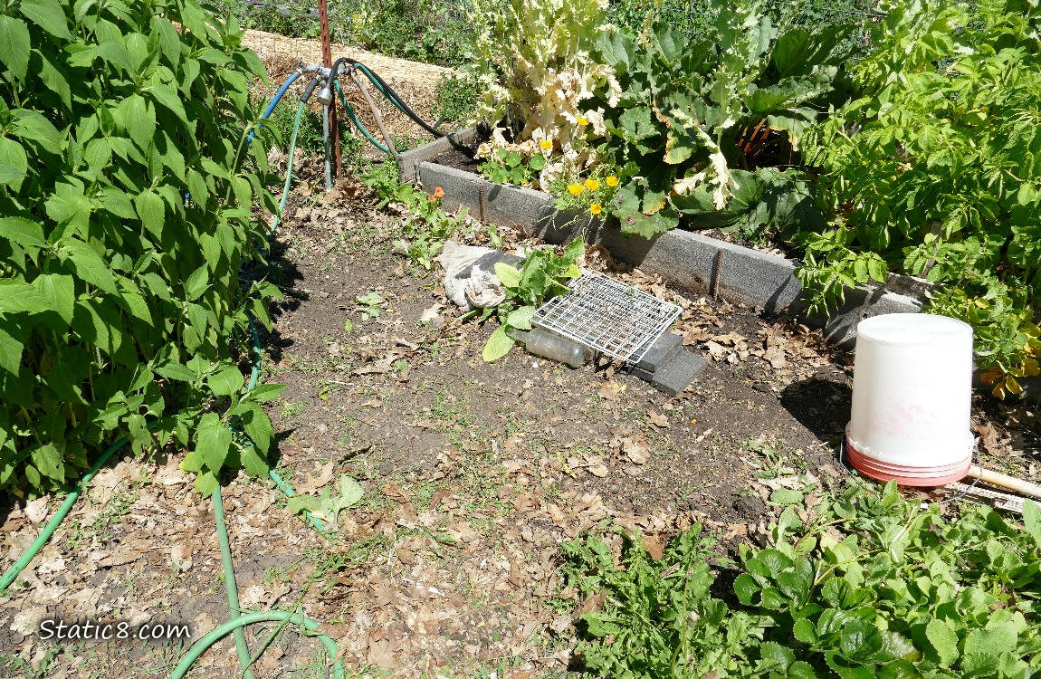 Garden plot