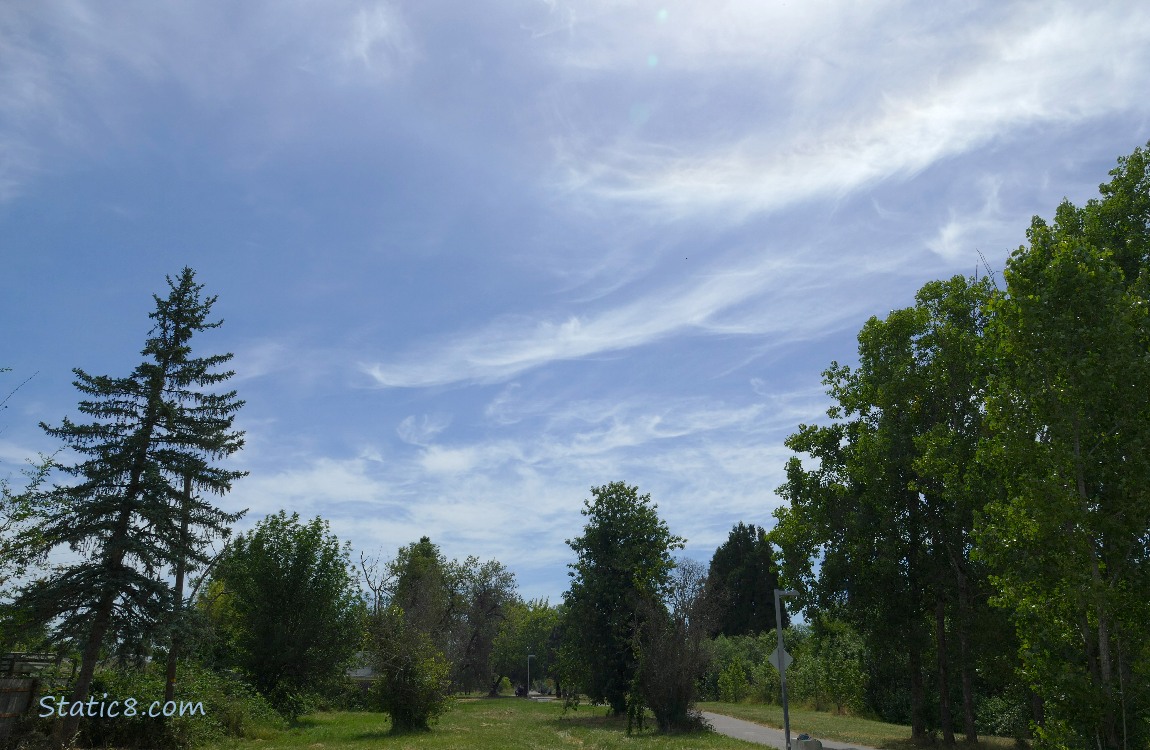 Cirrus clouds in a blue sky
