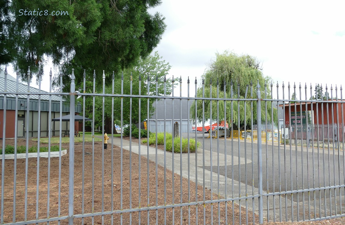 Iron fence