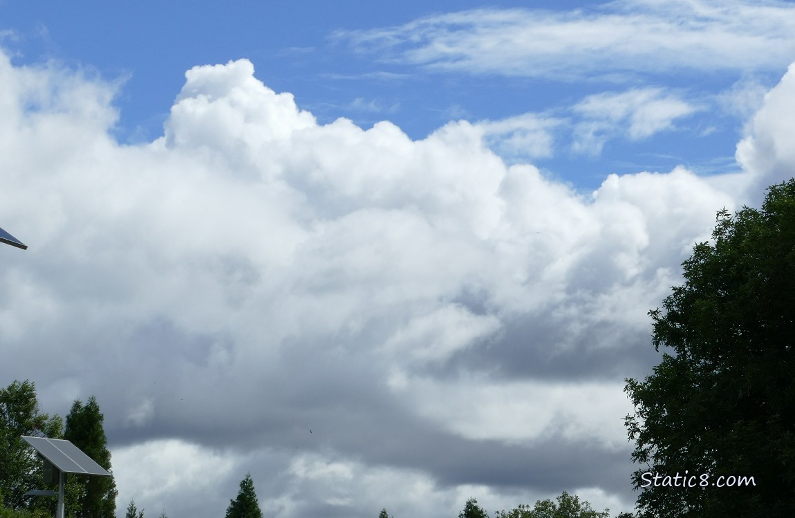 Clouds in a blue sky