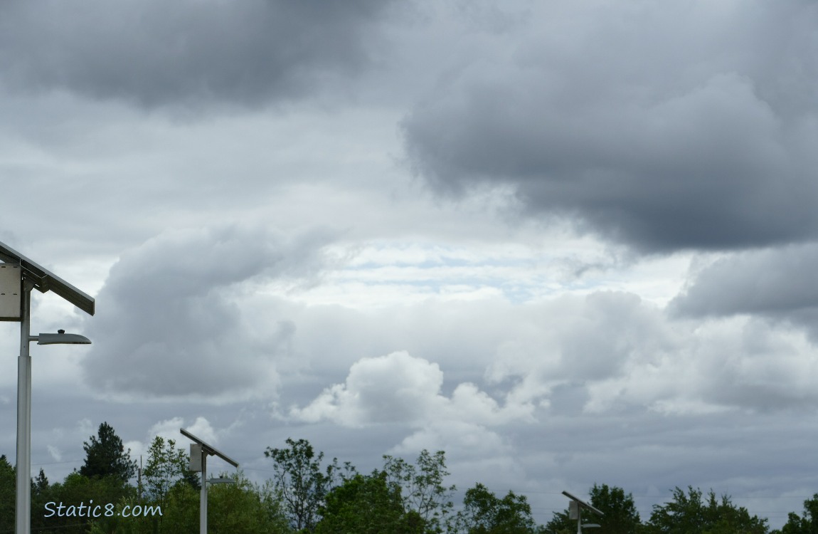 Cloud over silhouette of trees and street lamps