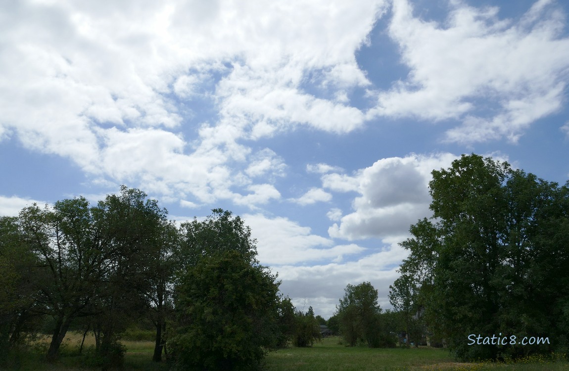 Clouds over silhouette of trees