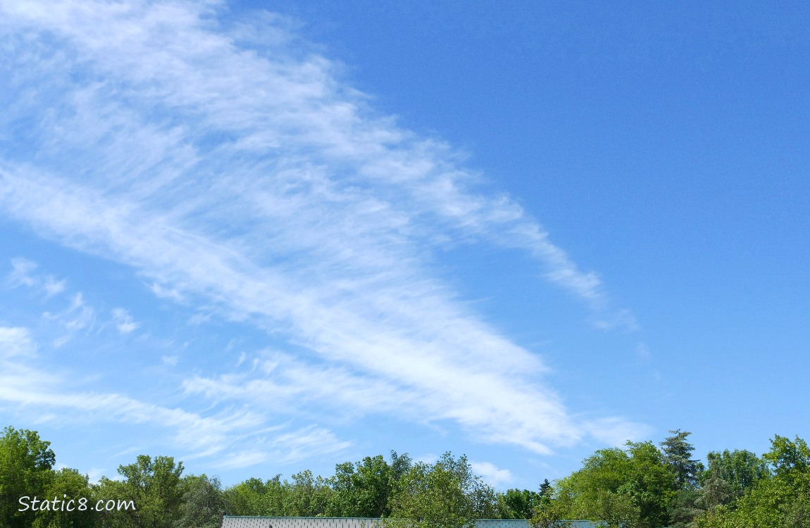 cirrus clouds in a blue sky