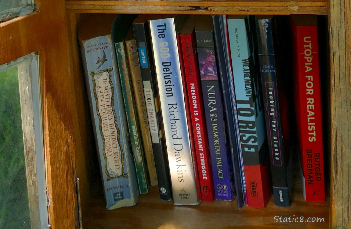 Close up of the books in a Little Free Library