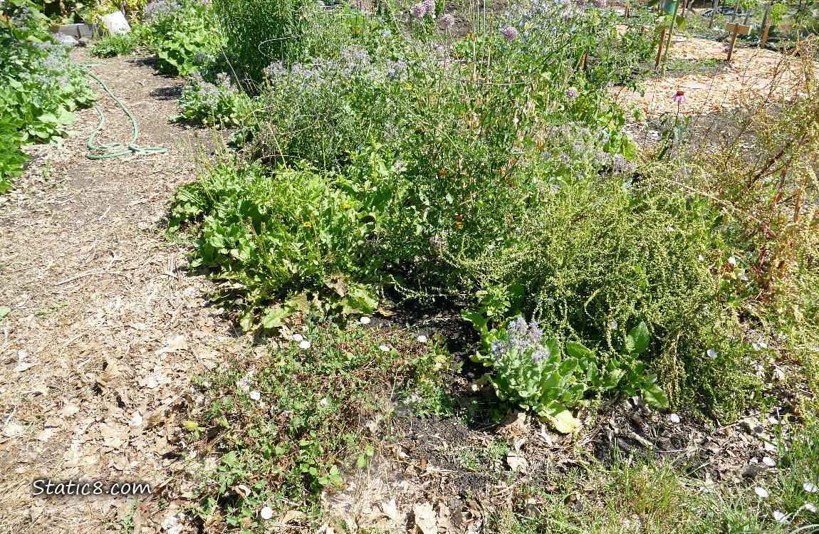 Garden plot