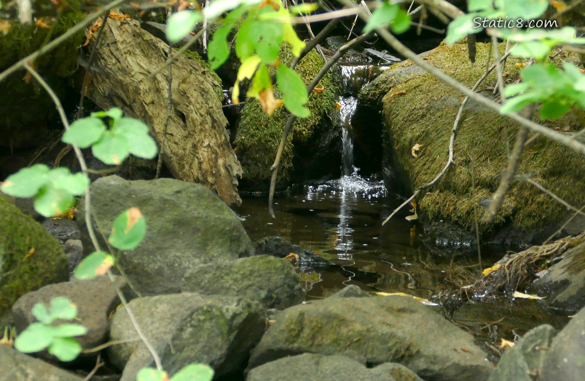 water falling thru mossy rocks