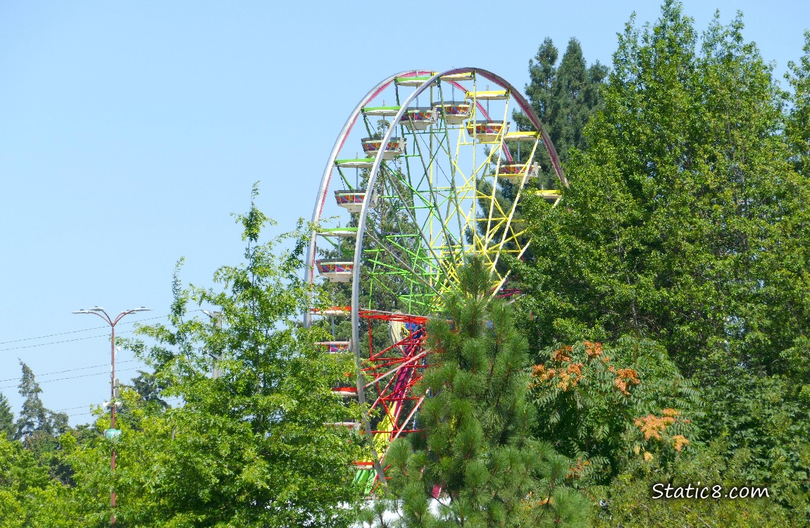 Ferris wheel past some thick trees, blue sky behind