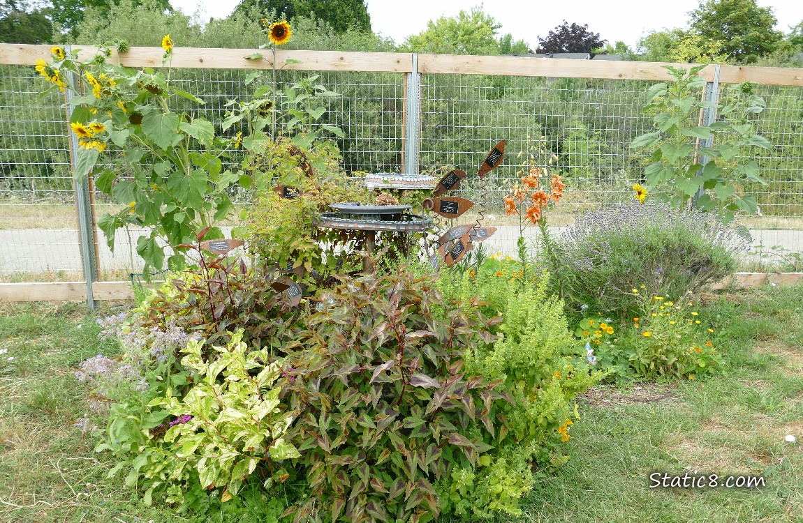 Flower garden in front of a wood and wire fence