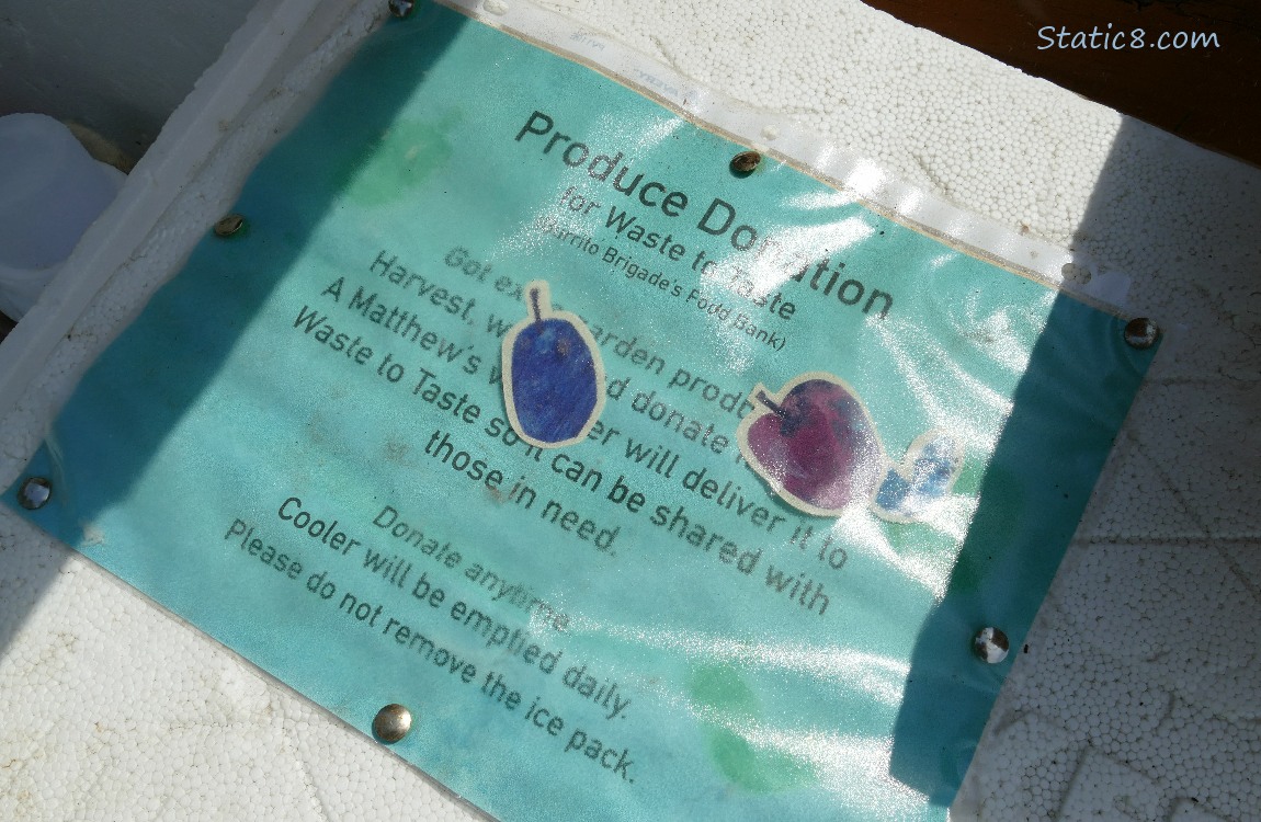 Donation box sign on a styrofoam cooler