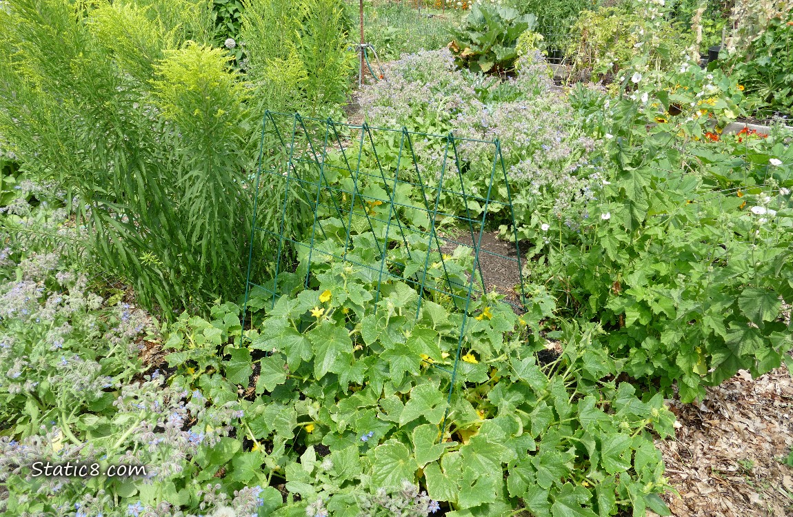 Garden plot