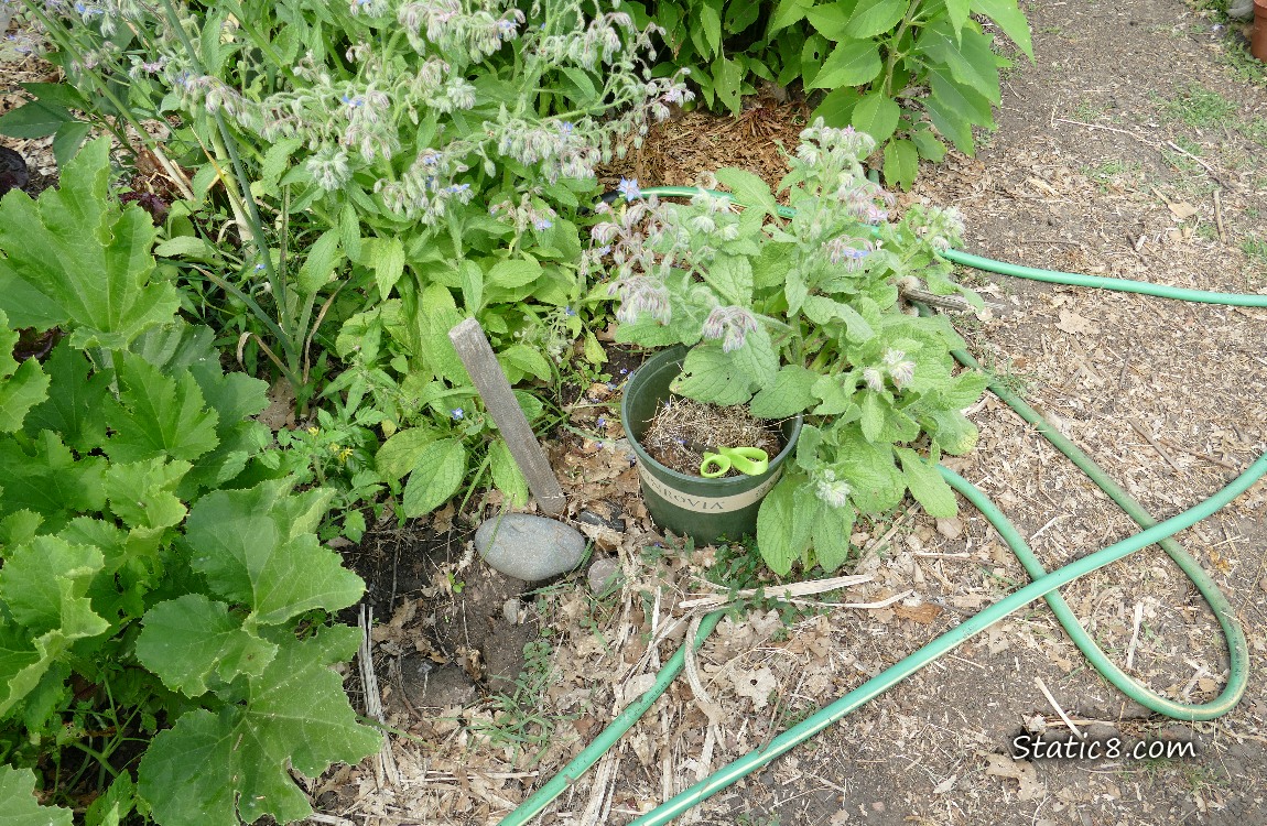 Garden plot