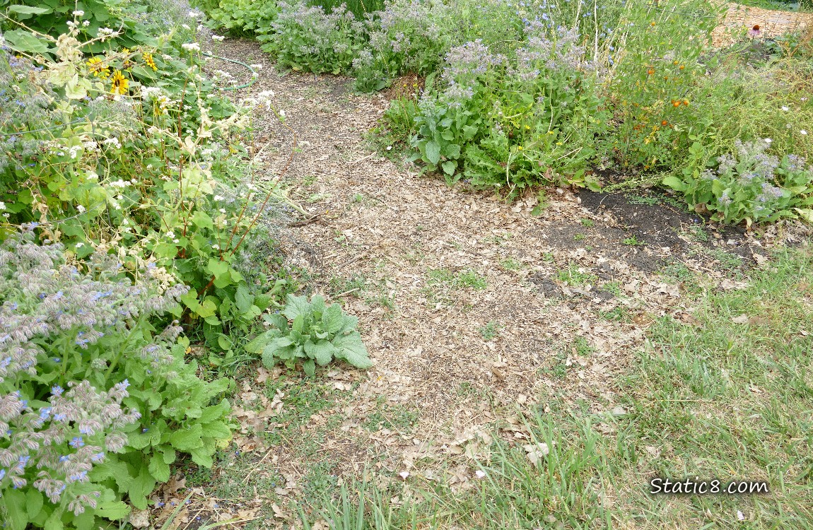 Garden plot