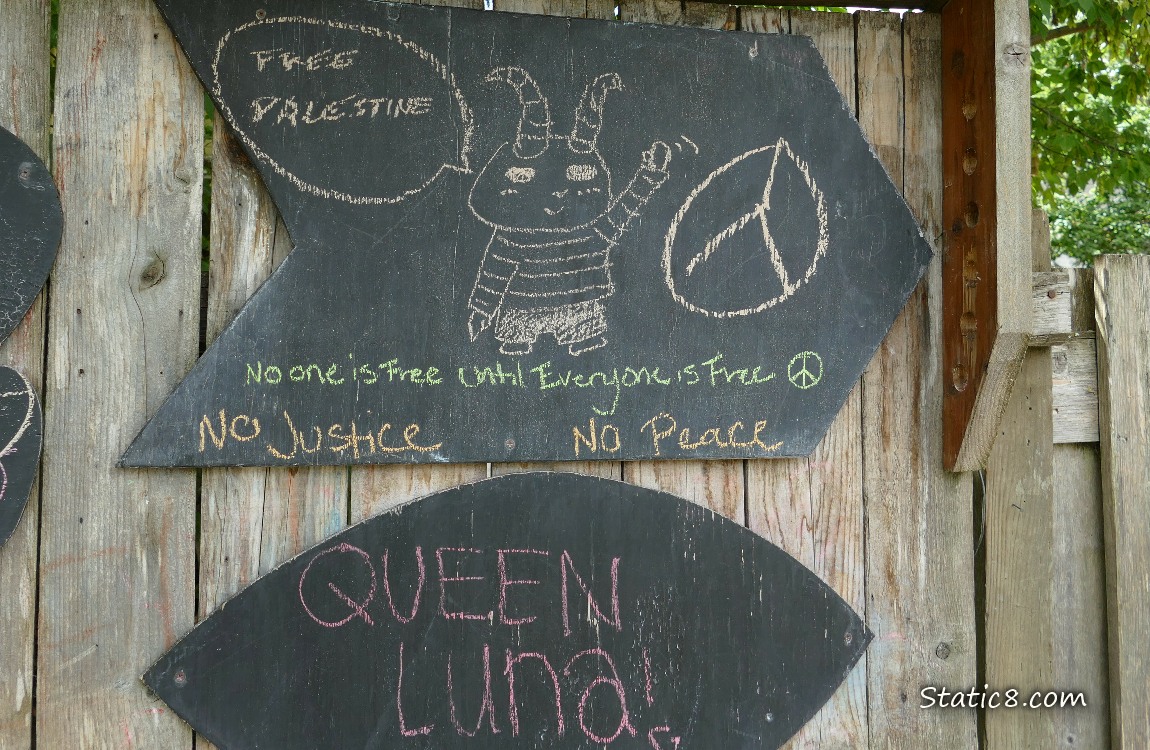 Chalk boards on a wood fence