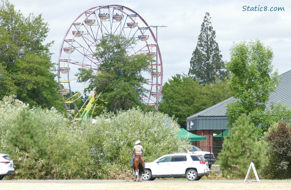 Ferris Wheel past some trees, and a car and a man on a horse