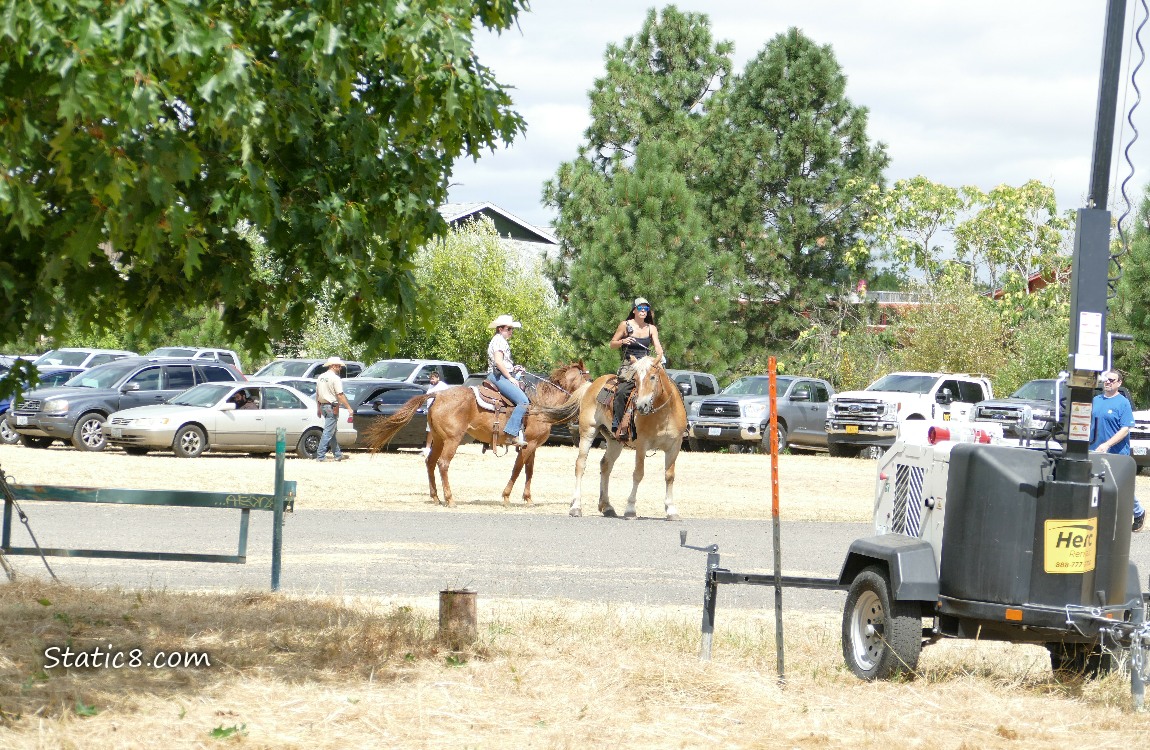 Cars parked with horse riders and people walking