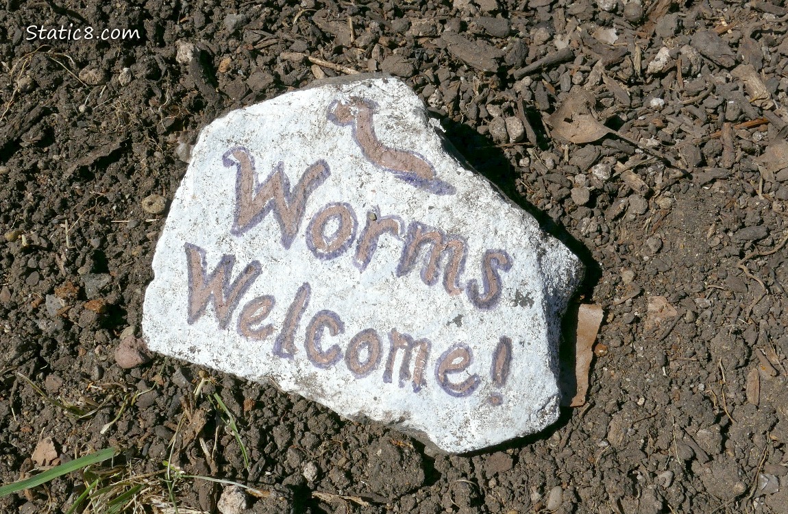 Rock painted to say Worms Welcome