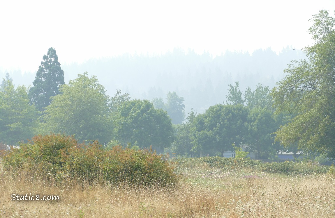 haze in the distance