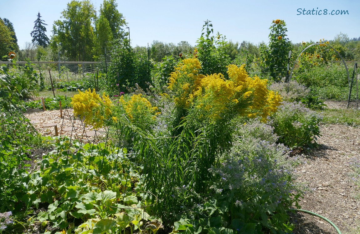 Garden plot