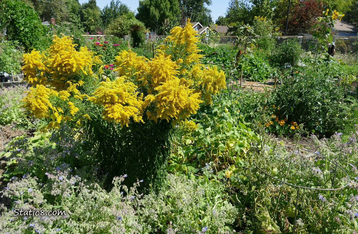 Garden plot