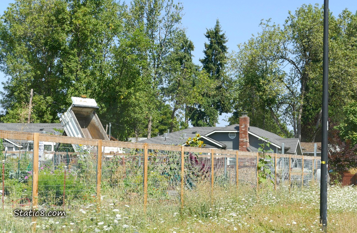 Dump truck with upended bed, past a wood and wire fence