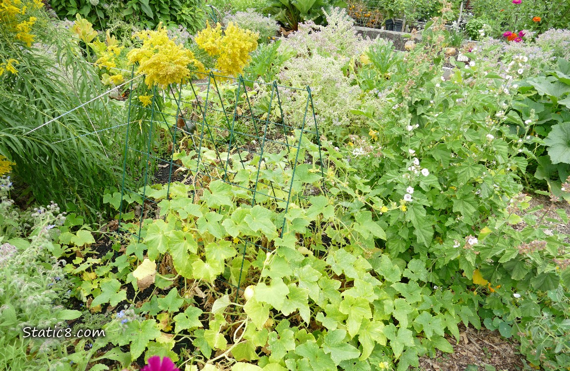 Garden plot