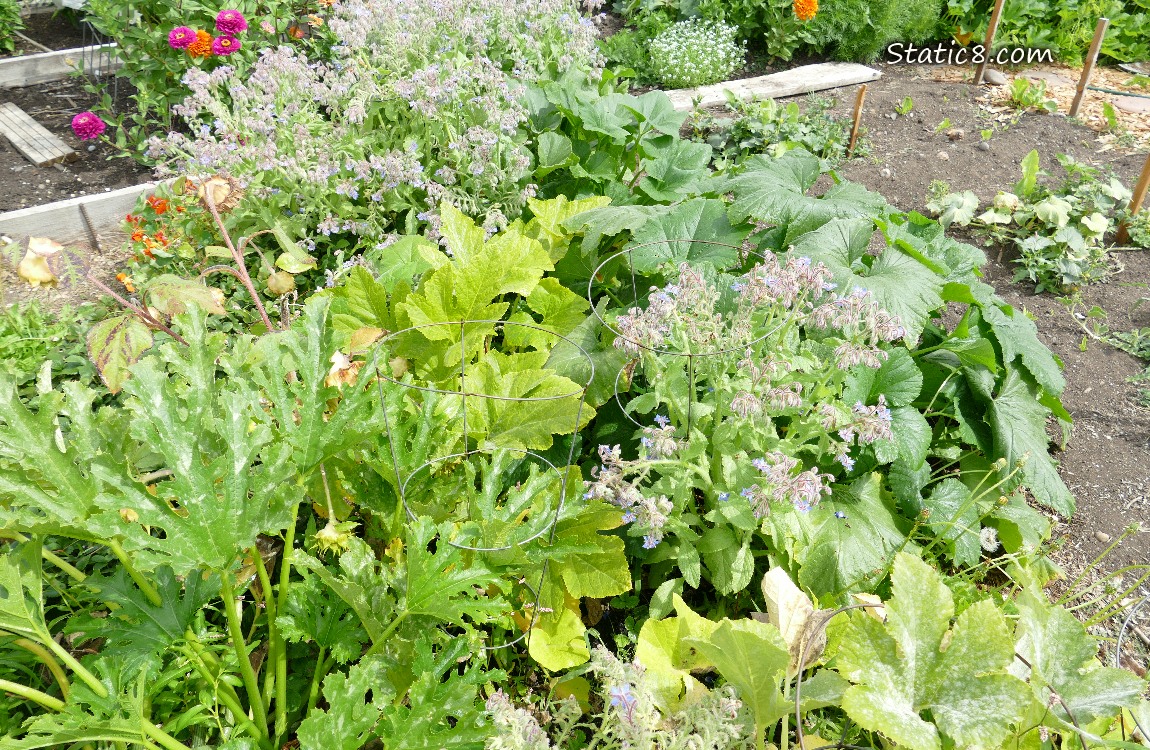 Garden plot