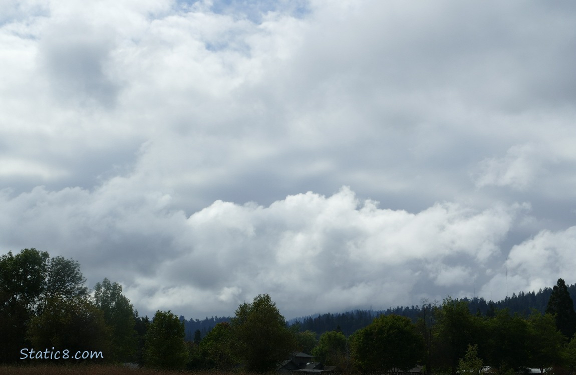 Stormy clouds over the silhouette of trees