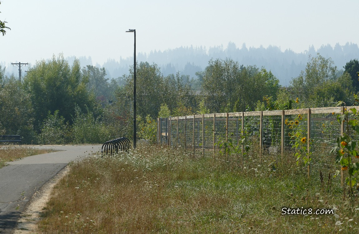Smoggy hills
