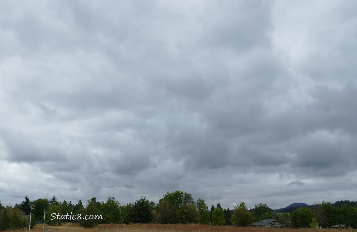 Cloudy sky