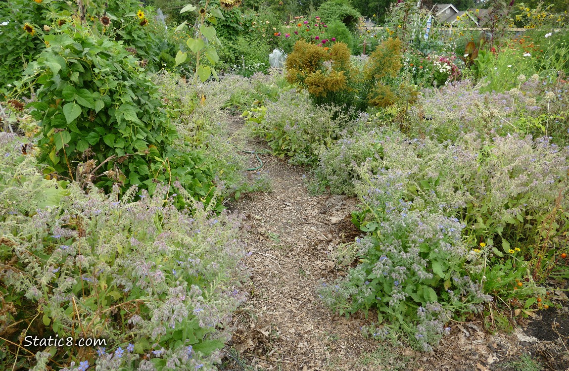 Garden plot